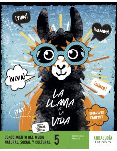 CONOCIMIENTO DEL MEDIO 5ºPRIMARIA FANFEST ANDALUCIA 2023